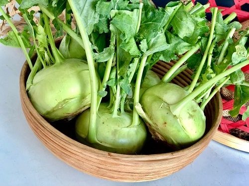 Cung cấp sỉ su hào tphcm