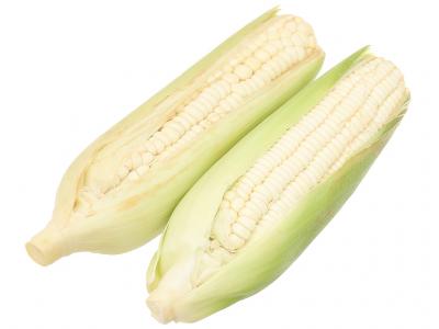 2 trái bắp nếp (từ 500g trở lên)