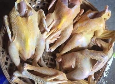 Bán thực phẩm sạch online đắt khách mùa dịch