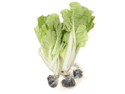 Cải bẹ dún thuỷ canh gói 300g