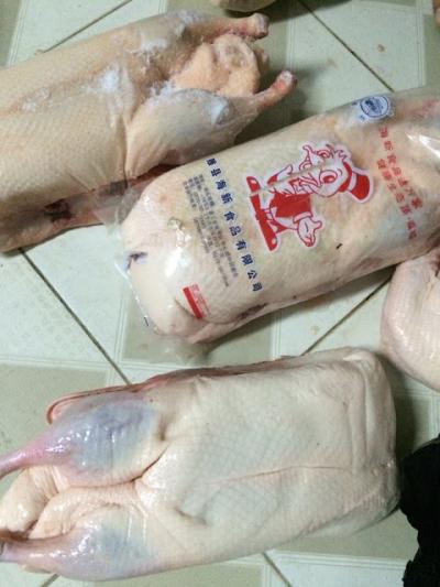 Cung cấp vịt cho các nhà hàng vịt bắc kinh, vịt quay, vịt nướng tại tphcm