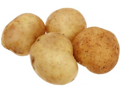 Khoai tây túi 500g (3 - 7 củ)