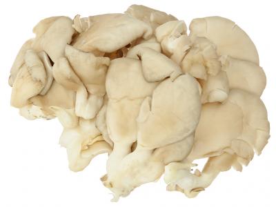 Nấm Notaly vỉ 200g