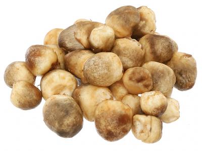 Nấm rơm túi 200g