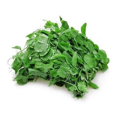 Ngọn đậu hà lan