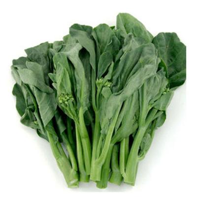 Rau cải làn Lạng Sơn