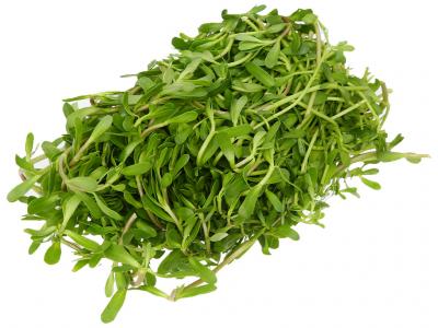 Rau đắng gói 200g