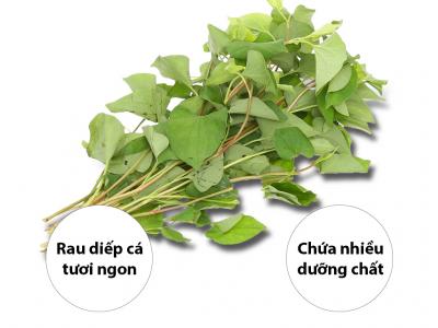 Rau diếp cá gói 100g