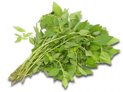 Rau húng cây gói 100g