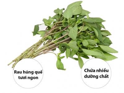 Rau húng quế gói 100g