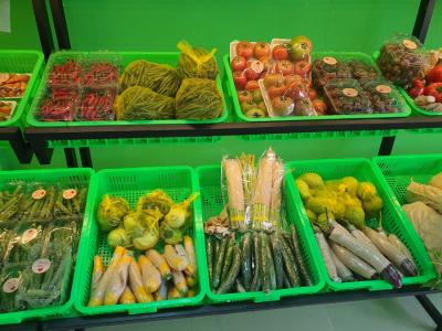 Thực Phẩm Sạch Thực Phẩm An Toàn Cho Mọi Gia Đình