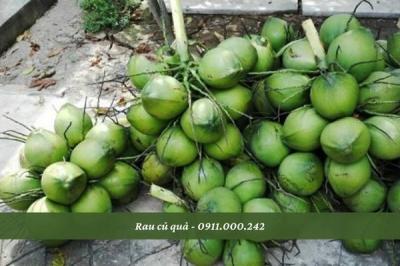 Vựa Dừa Sỉ TPHCM