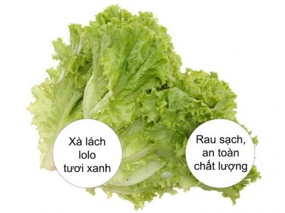 Xà lách lô lô xanh