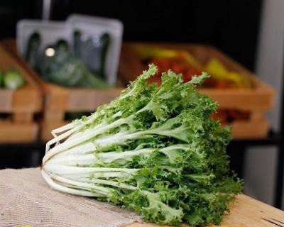 Xà lách phi dê Frise