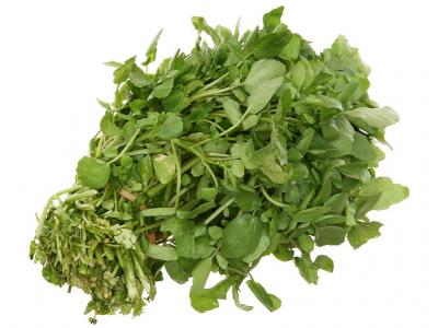 Xà lách xoong Đà Lạt gói 500g